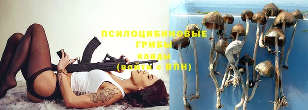спайс Богородицк